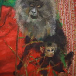 Lion tail monkeys (mother & child)