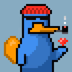 Platy Punk #1477
