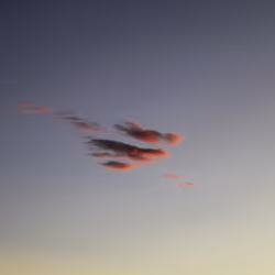Cotton Candy Cloud