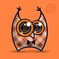 Bit Owl
