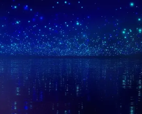 viccheong Collection - old