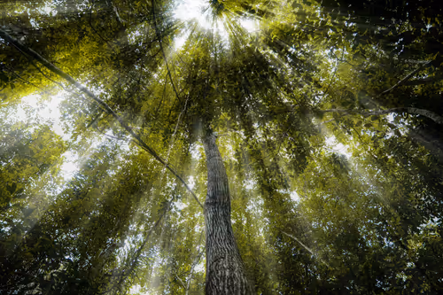 Item #68668679460733179751995579046996266075263869281073028949934511772819601227779 Media