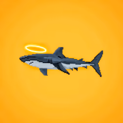 CryptoSharks #17