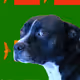 648008096045867044483137489329882592233555462946033952975388141078020358145