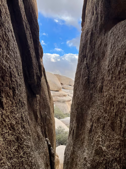 Item #60049021281838875725342691743098835561233814610274279407068971092515024273409 Media