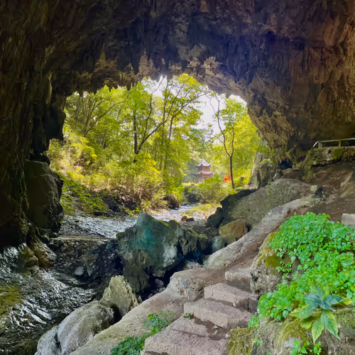 Untitled Collection #8795042