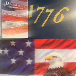 1776 Freedom Fighter NFT
