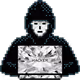 28507757343682869138850950363726088457913170499653953678851833064741933154305