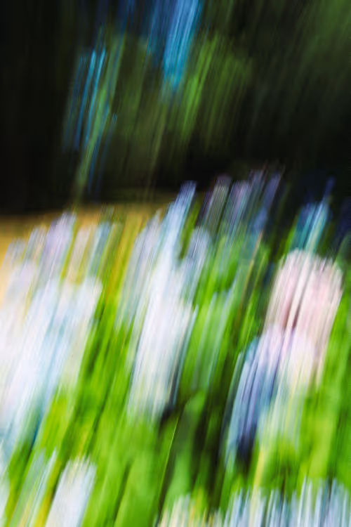 Item #108763088635849069057115468035750865440307141110483367065770144869968307552257 Media