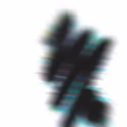 Nomo 7