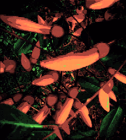 Item #63309741458958309988901162447583305462700110130189293512659535467496213577729 Media