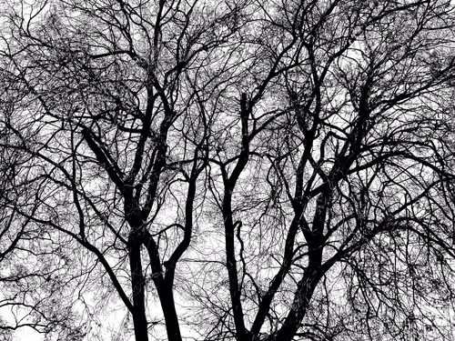 Item #13665938074563914331498291329920780757136253607588816979915017168360948367361 Media