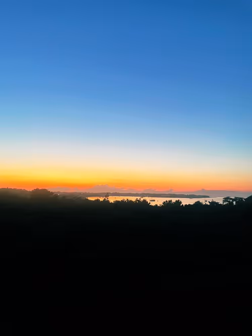 Item #36844992614188905470265102847256926820365174315882136485200209220401996234753 Media