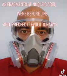Beyond the Human Mask
