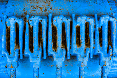 Deanna's Photography