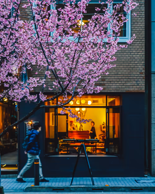 Item #63385844922884707260670708997335825018243835468688279288737241363124708179969 Media