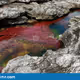 83211434421003377793614458367973119969435170830461888283982219177038916354049