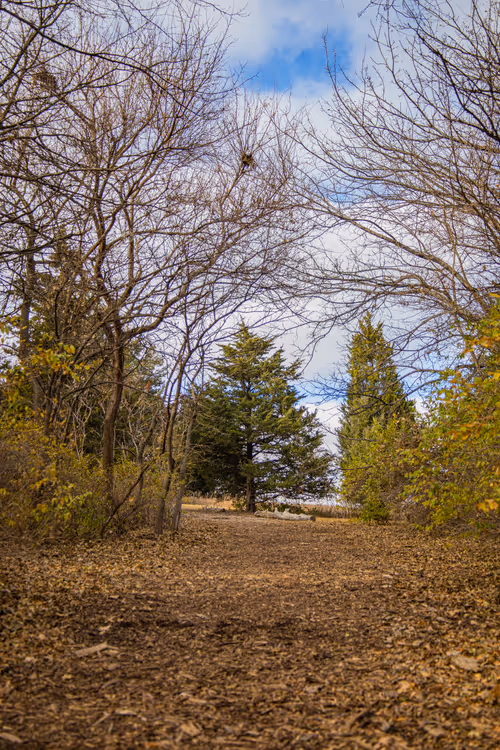 Item #19684374529110288056520570276703370007863893692966726326193838097602696970241 Media