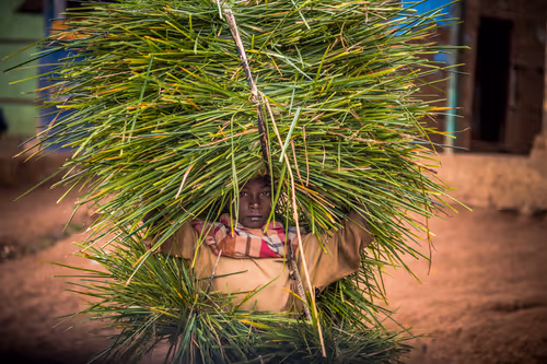 Item #50027882237522295676960542276708360859068113986169674979910833966878352736257 Media