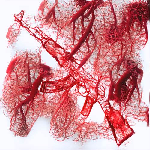 Item #71856514976474579381482599745109413688155812257082282086702350858602627989505 Media