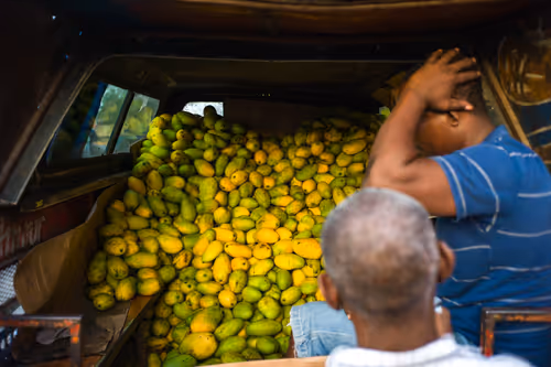 Item #86548725640412939474759328435458413273606034301935223516816389273235050463233 Media