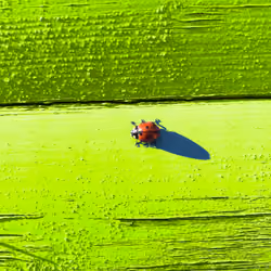 LB_a_song_of_springtime_and_dots_pt3
