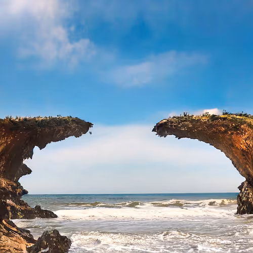 Item #51478908410097262354256894061339969912290355659778245169367797199042424864769 Media