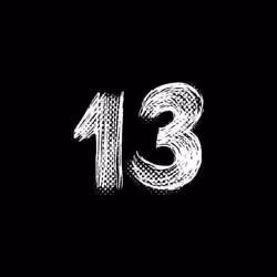 13