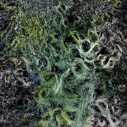 Vortex #1