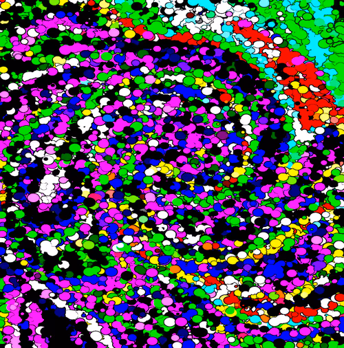 Item #115393517104113280871424152766474047841247353516515545263035208526619037663233 Media