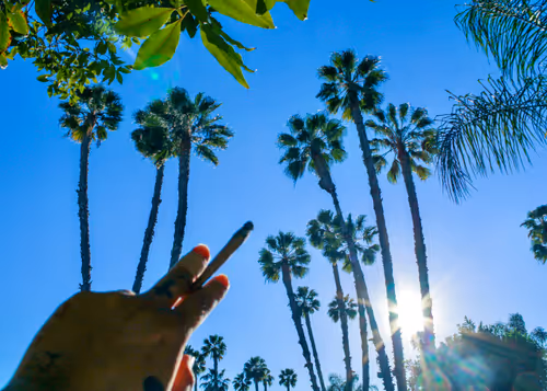 Item #73450565912043107582986494108342994017414102752882869276726541259047620837377 Media