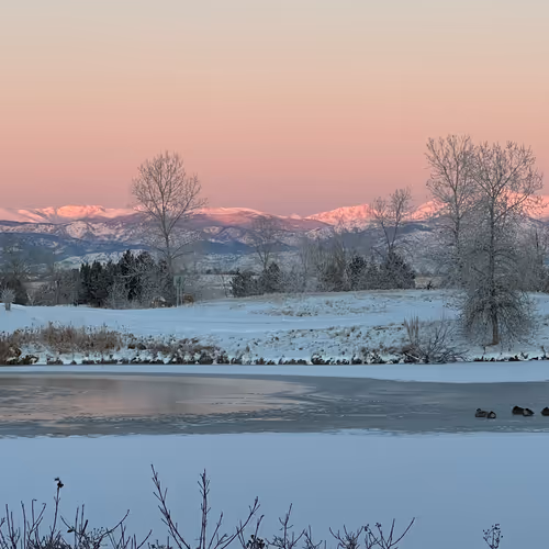 Samshady2990 Collection