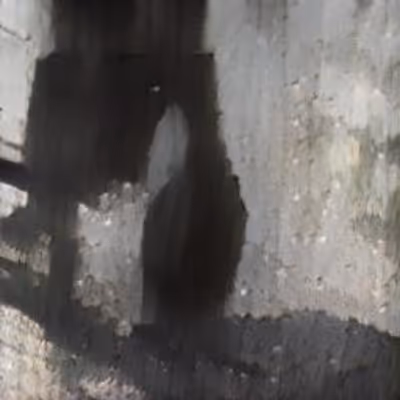 Item #76077794565718226373874436126464941724070473957547354386059771437111218012161 Media