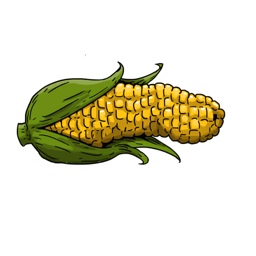 Item #86918842949286390288807663322914867770725017138683146722673035263956907720705 Media