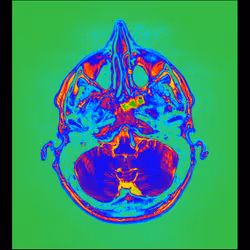 64162533542198579898252916190583583845604629893829087458582975828255878152193