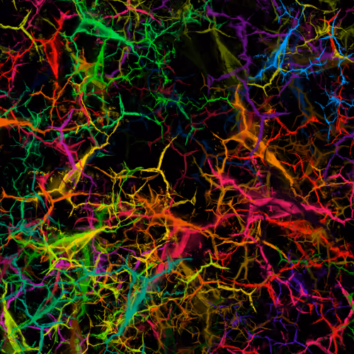 Item #50918555062582210159273167721725581522404743190091886750106034863002399801345 Media