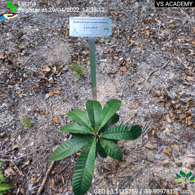 Item #8500196597889277390194123329501889087166328879864934763448348835810941861889 Media