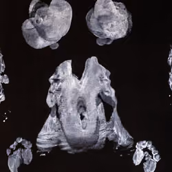 03\06