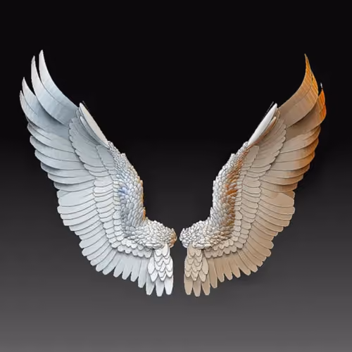 Wings of true wisdom #1