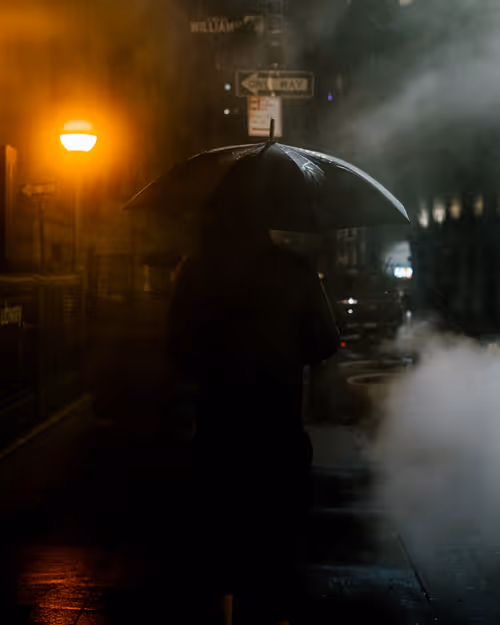 Item #26496075620781707602062900041822142517414676884450269992691667283597544390657 Media