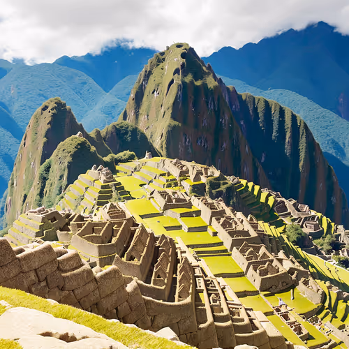 Untitled Collection #451824539