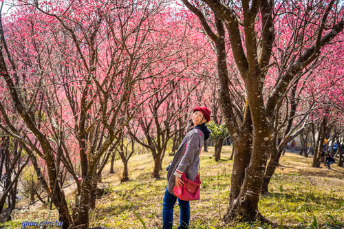 Item #100744422725674417057824683306763013505668843176654858816283483916439350411265 Media