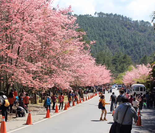 Item #88341892428238457671163359138931352612055705478125639874456303500617523920897 Media