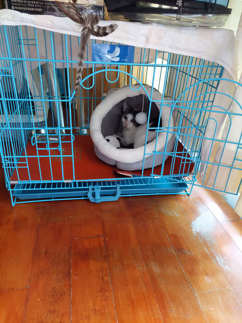 Item #99936926881834722245494880846447902772970396691943269501904837327499674255361 Media