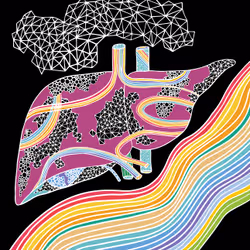 28824502245252267217549902857601847351510039266873569823091148498778969866241