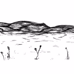 Hills