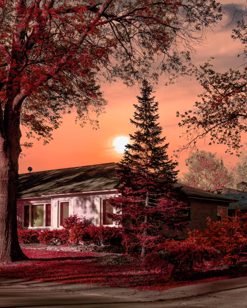 Item #90158585842288543454132533831317217666405446006045867115133948073763061891073 Media