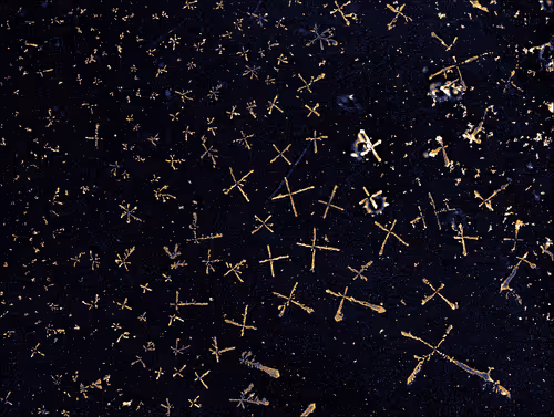 Item #88425369129469894980589771095889463825406609439564309002072926013696442892289 Media