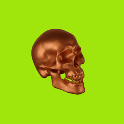 RenegadeSkull#0004 CPPR