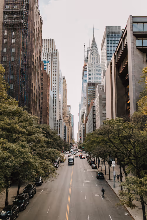 Item #98499118643462973145913030334159470005668092734547491397461332094560656949249 Media